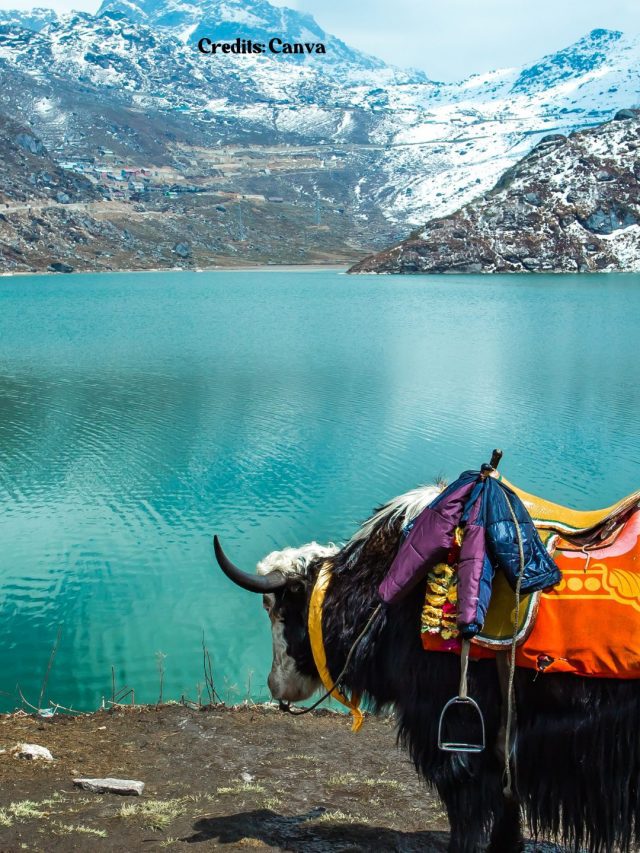 gangtok
