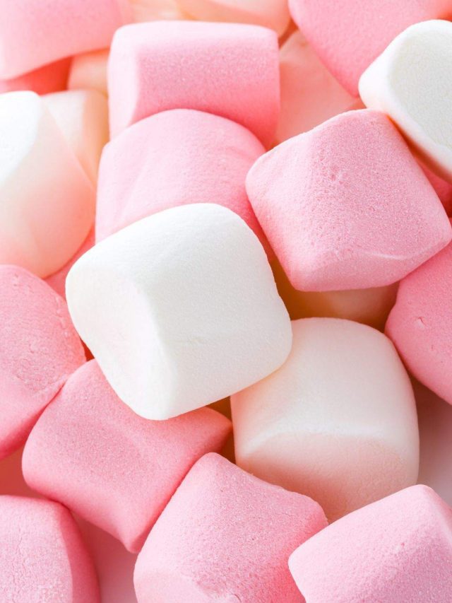 Recipe: Easy Steps To Make Marshmallows From Scratch At Home Recipe: Easy Steps To Make Marshmallows From Scratch At Home