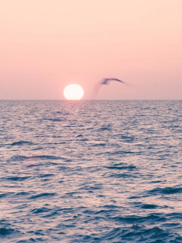 Oceans Rising Temperature