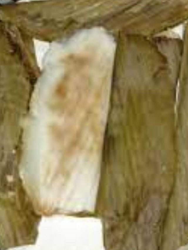 Festive Recipe: Here's How You Can Make Traditional Patoli At Home