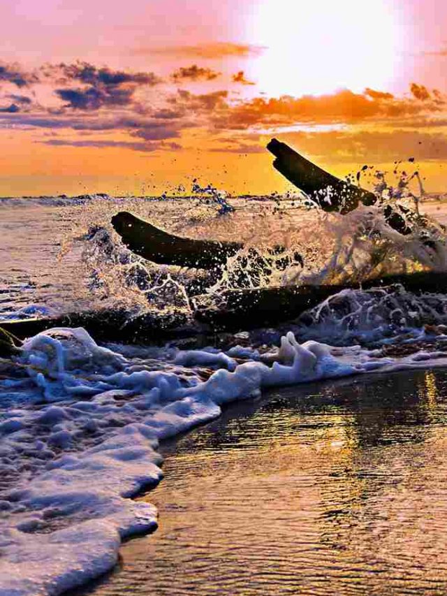 rameshwaram (9)_11zon