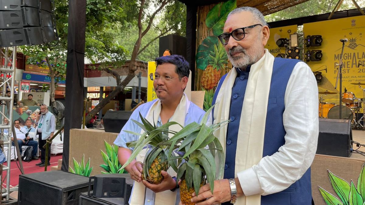 Meghalaya’s Pineapple Shines At Dilli Haat’s Pineapple Festival In New Delhi; PM Modi Applauds!