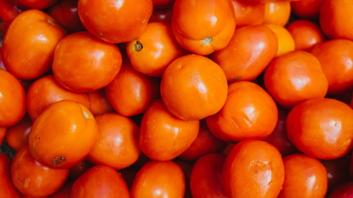 tomato sale