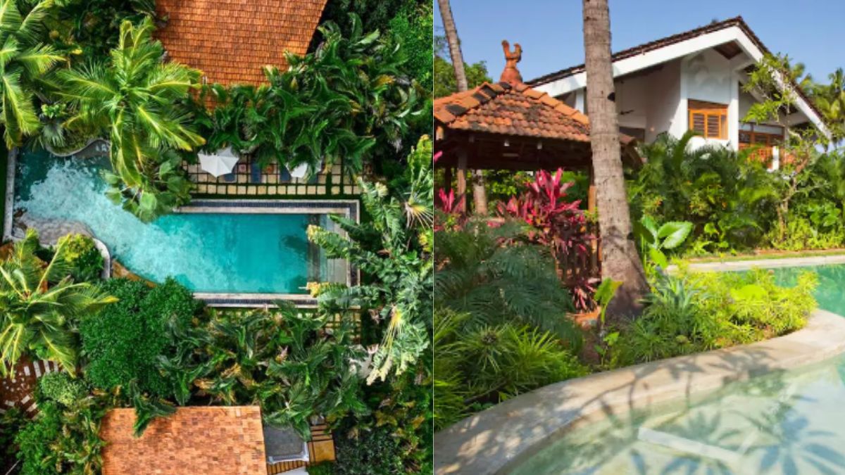 Barely 500m Away From Coco Beach, This 2BHK Villa In Goa Has A Freeform Jungle Swimming Pool
