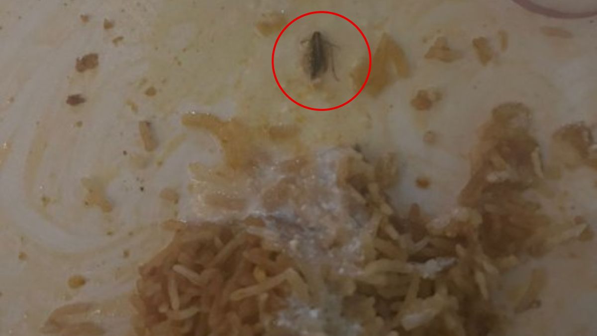 Cockroach Biryani Is A Regular Thing? 5 Times People Found Roaches In Their Beloved Biryanis