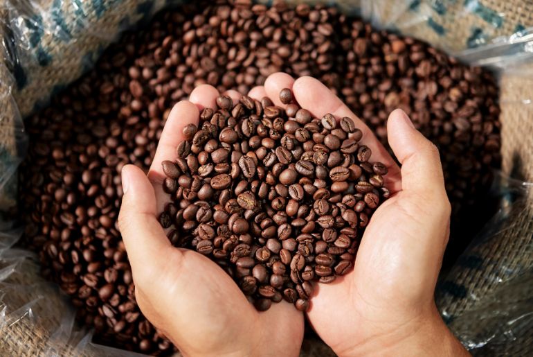 Saudi Coffee Beans