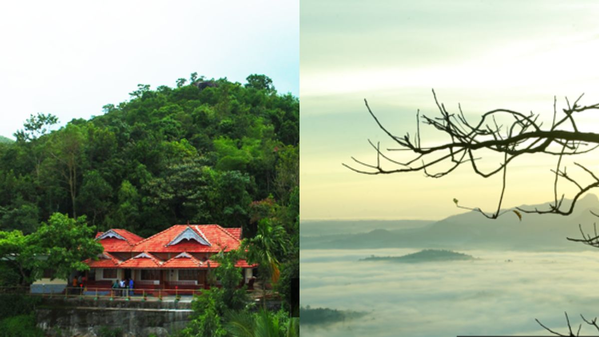 This Hill And Jungle Resort In Wayanad Hills Has Tree House, Glass House And More Stay Options