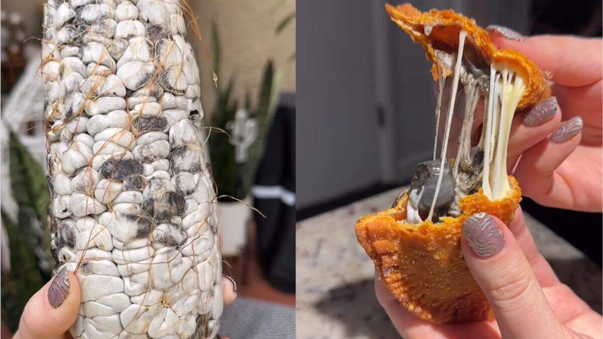 Woman Cooks Cheesy Empanadas With Huitlacoche, A Type Of Corn Fungus. Netizens Are Divided