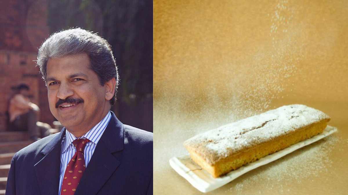 anand mahindra