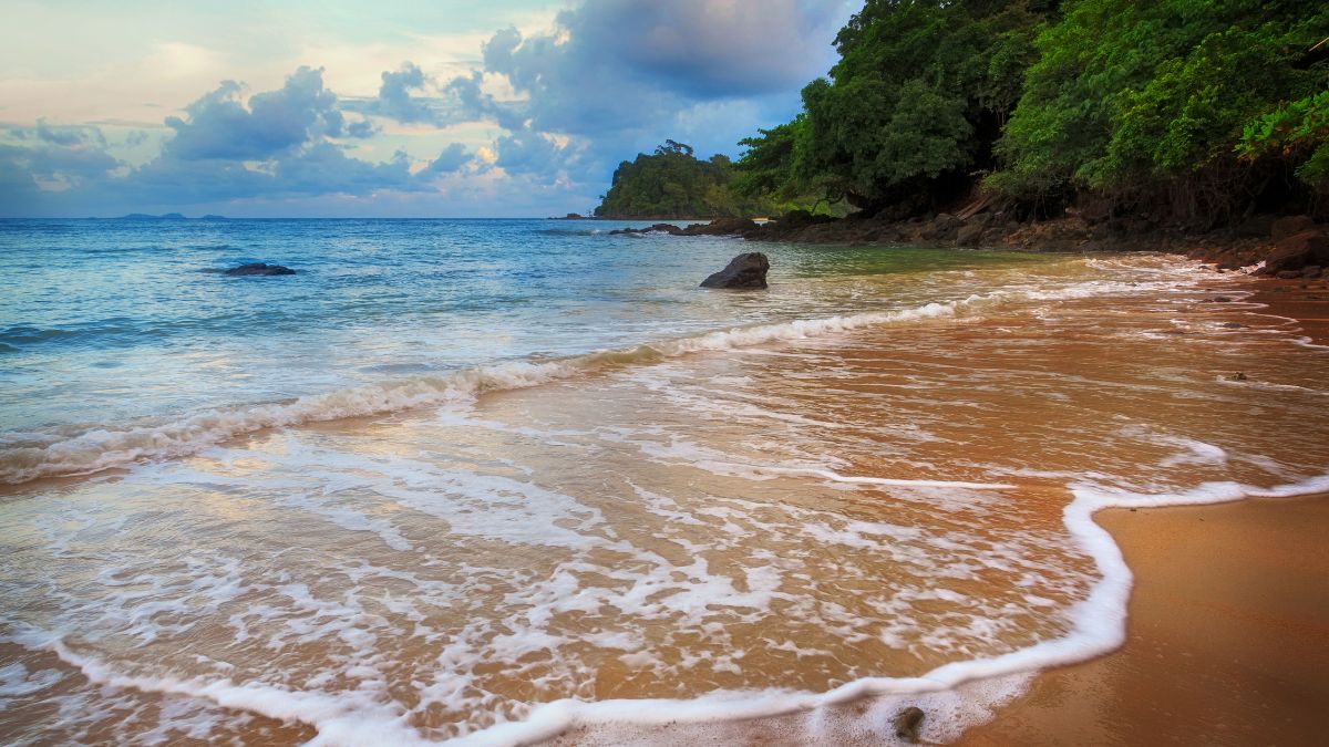 andaman beach shacks