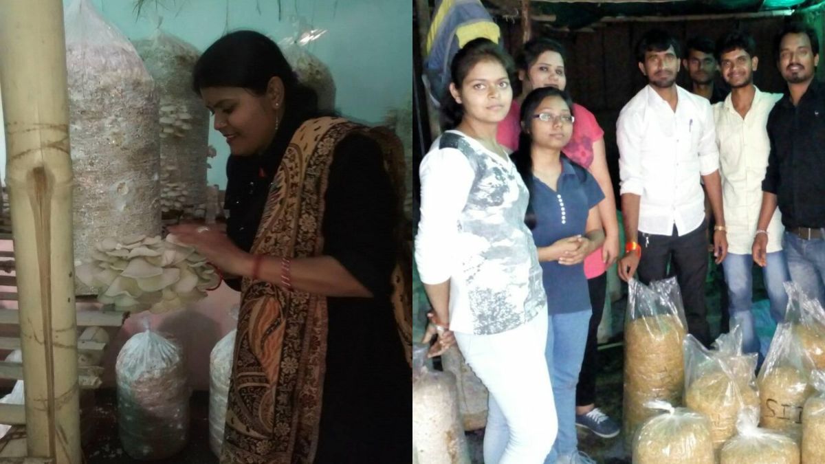 Gwalior Teacher Earns ₹1.5 Lakh/Month By Farming Mushrooms After Her College Was Demolished