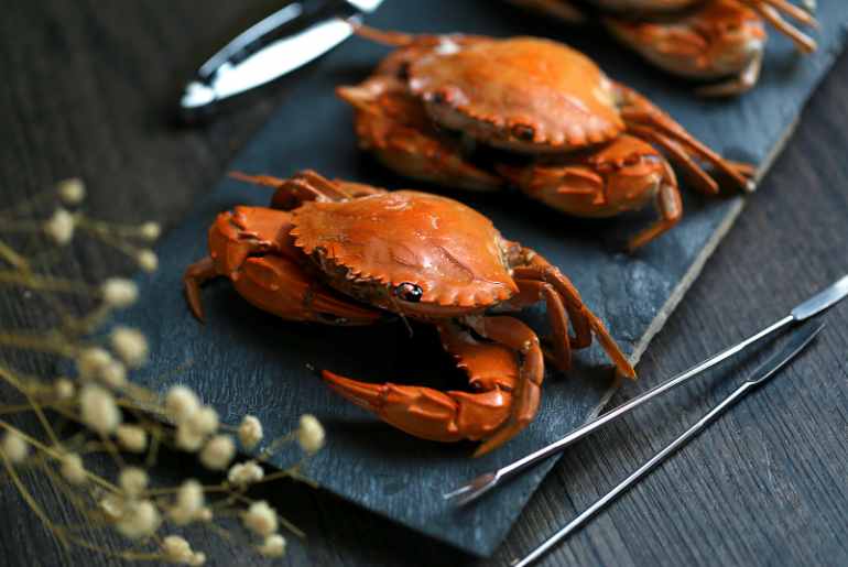crab japanese 