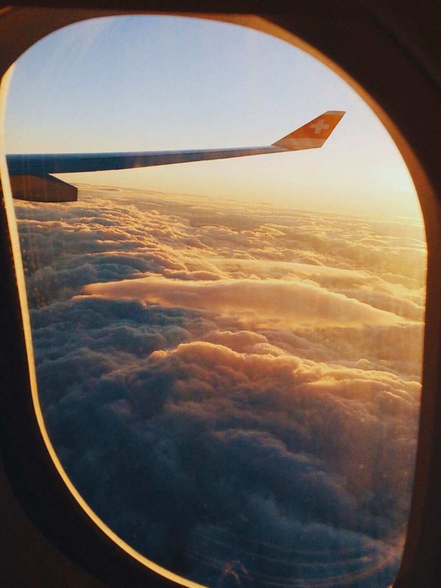 Flight