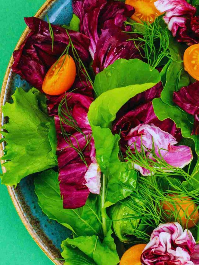 World Vegetarian Day