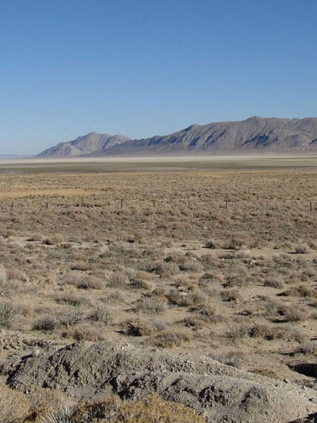 8 Facts About The Black Rock Desert, Where Burning Man Festival Is Held ...