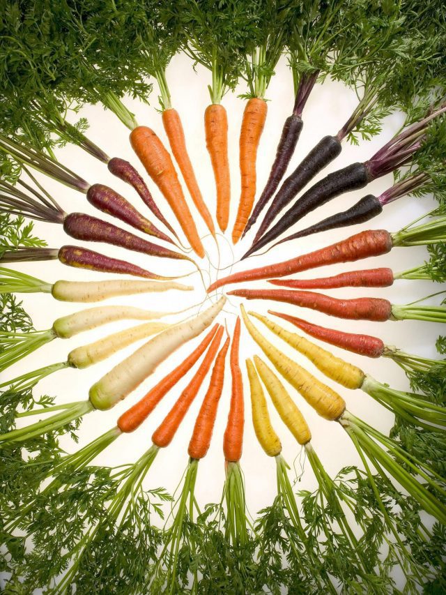 rainbow diet