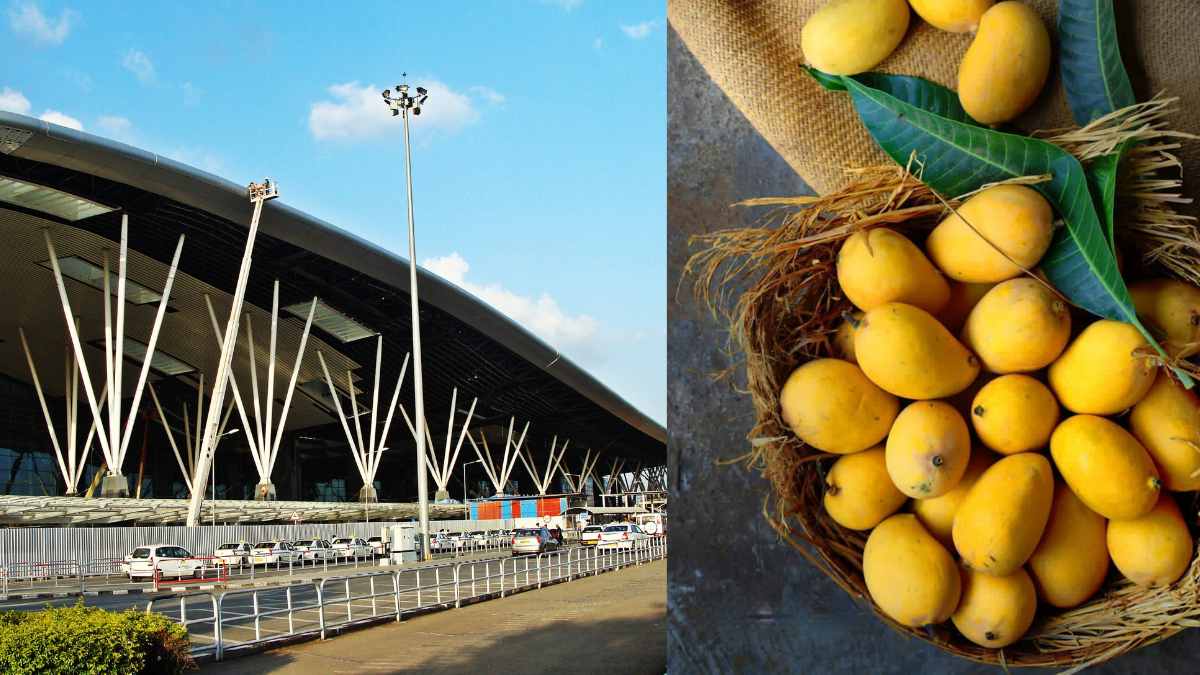bengaluru airport mangoes