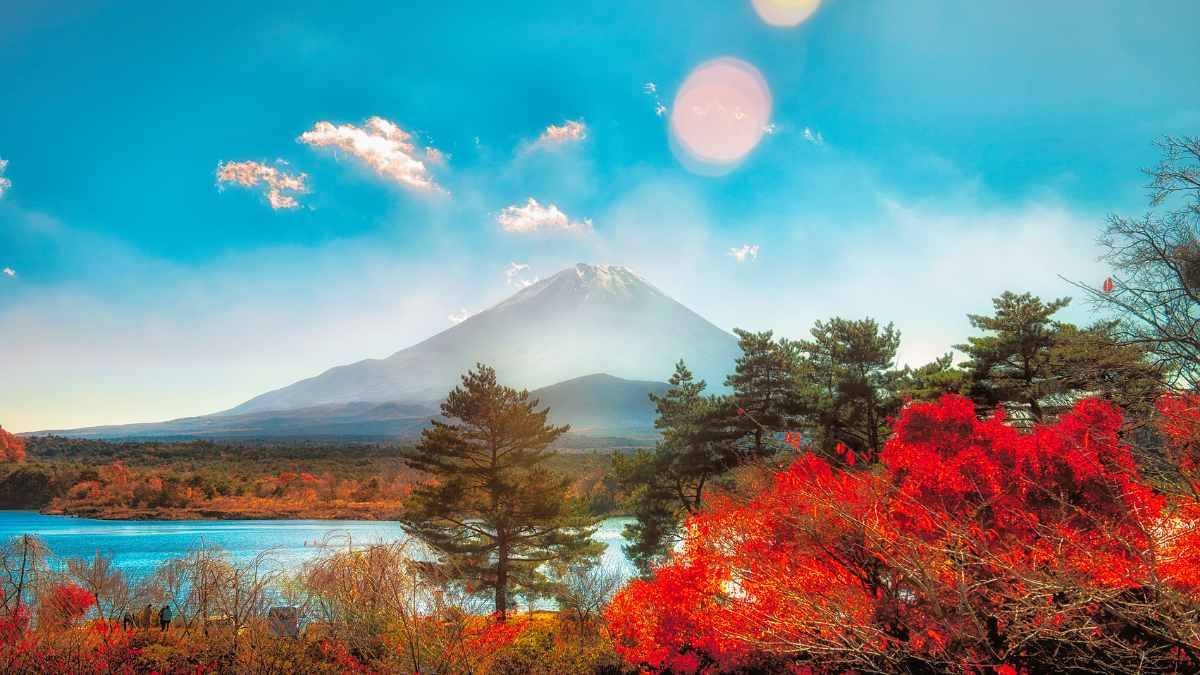 Japan’s Mount Fuji Grapples With Overtourism & Pollution; Here’s How Authorities Plan To Tackle This