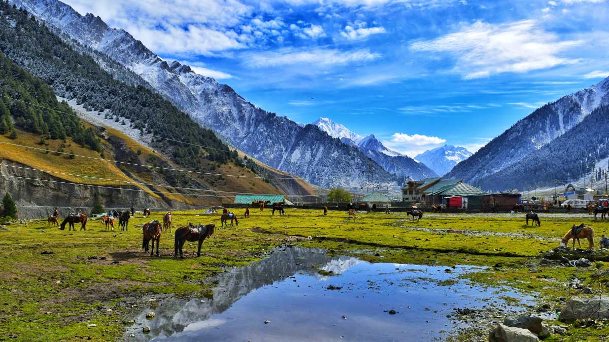 Looking For A Cute Picnic Spot In Jammu & Kashmir? Nestled 7850-Ft High, Jaie Valley Is Your Answer! 