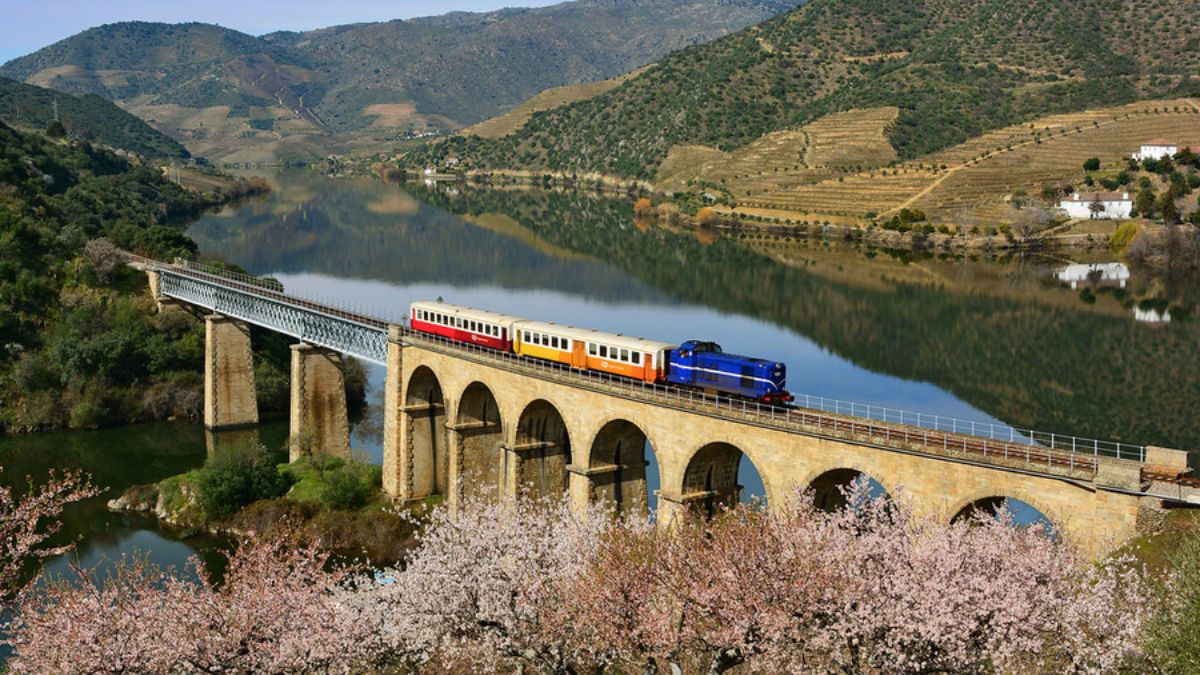 For Just €50, You Can Avail Unlimited Train Rides & See Alluring Portugal Coastline. More inside