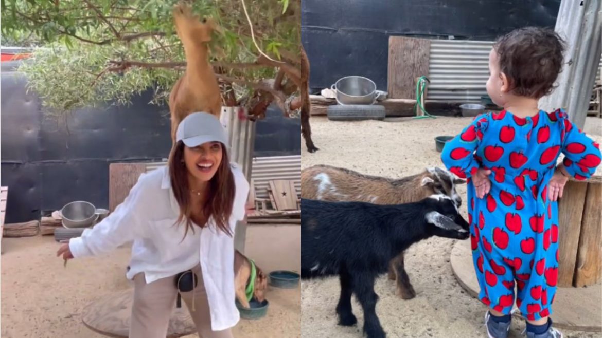Watch Priyanka Chopra, Malti & Their Fave Jonas Uncle Have Fun With