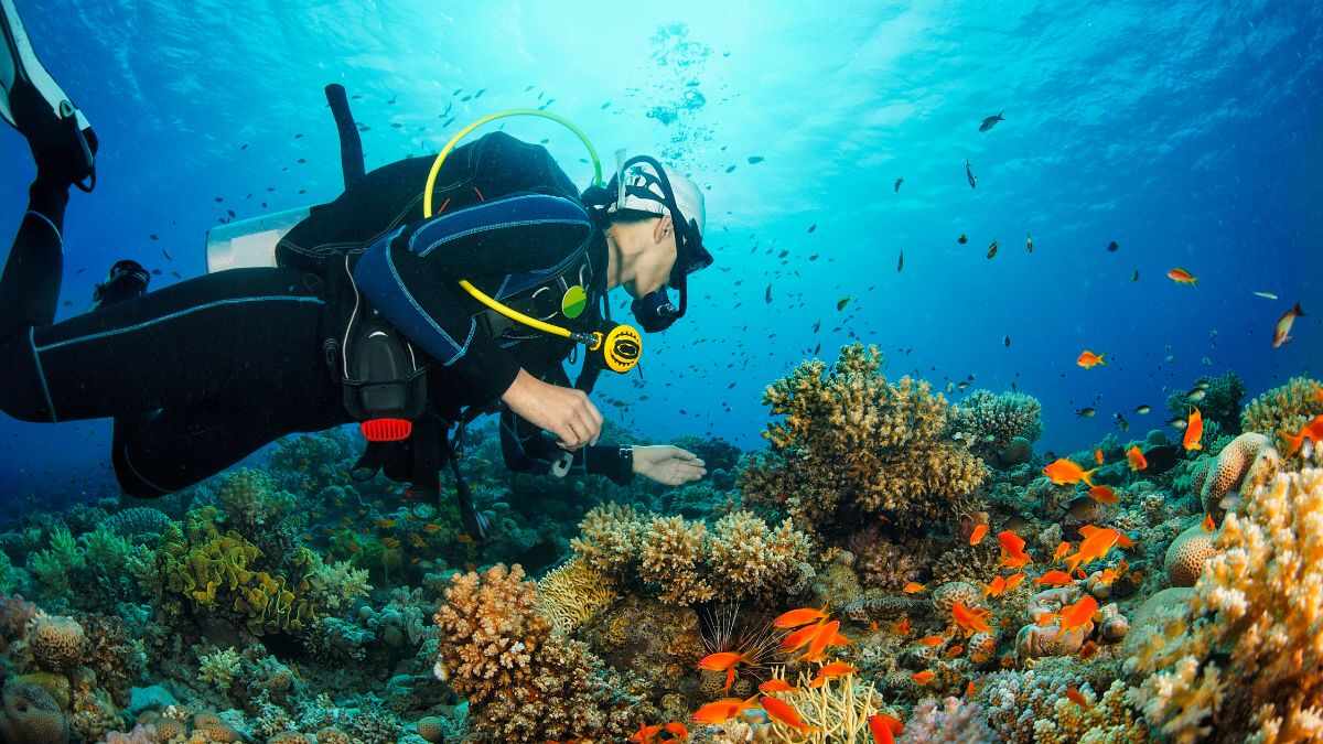 From Hiking To Scuba Diving, Experiential Travel Sees 20% Rise In Bookings This Diwali