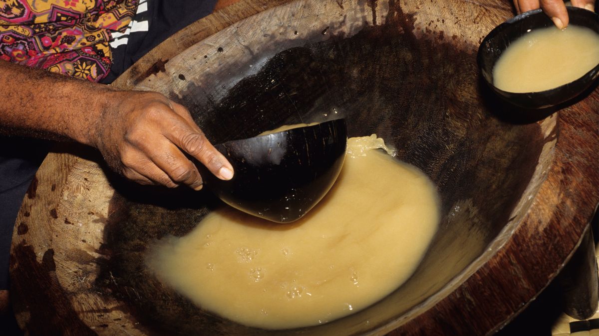 Kava Drinks: What It is, Effects & It’s Popularity As Alcohol-Alternative Drinks