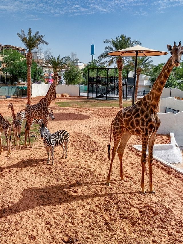 7 Family Friendly Destination That Opened In 2023