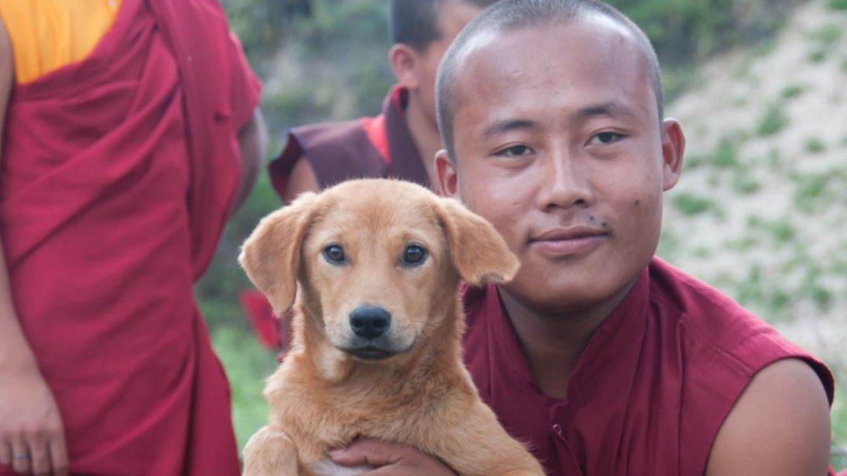 Bhutan Becomes World’s First Country To Completely Vaccinate & Sterilise Its Street Dogs