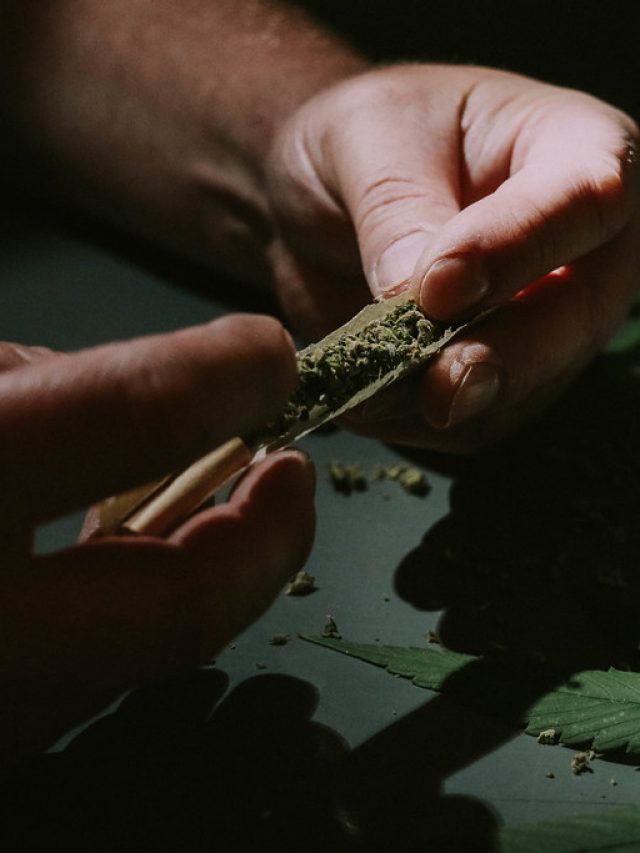 5 Places Where You Can Get Weed At Low Costs
