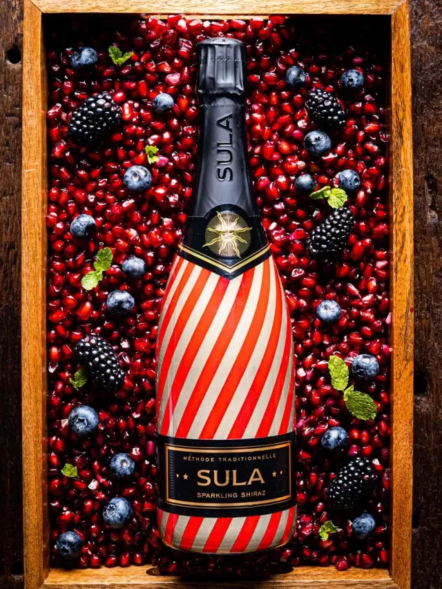 Can Red Wine Be Sparkling? 4 Sparkling Red Wines For You!