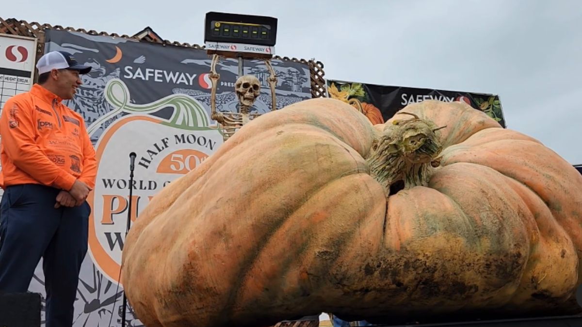 US Teacher Grows The World’s Heaviest Pumpkin Weighing 1,247 Kg; Sets New World Record. Watch!