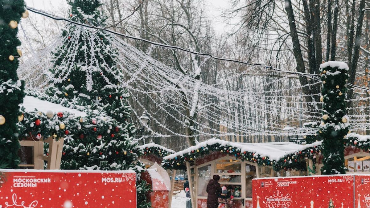 Discover 16 Winter’s Famous & Hidden Gems That Transform Into A Snowy Wonderland For Christmas