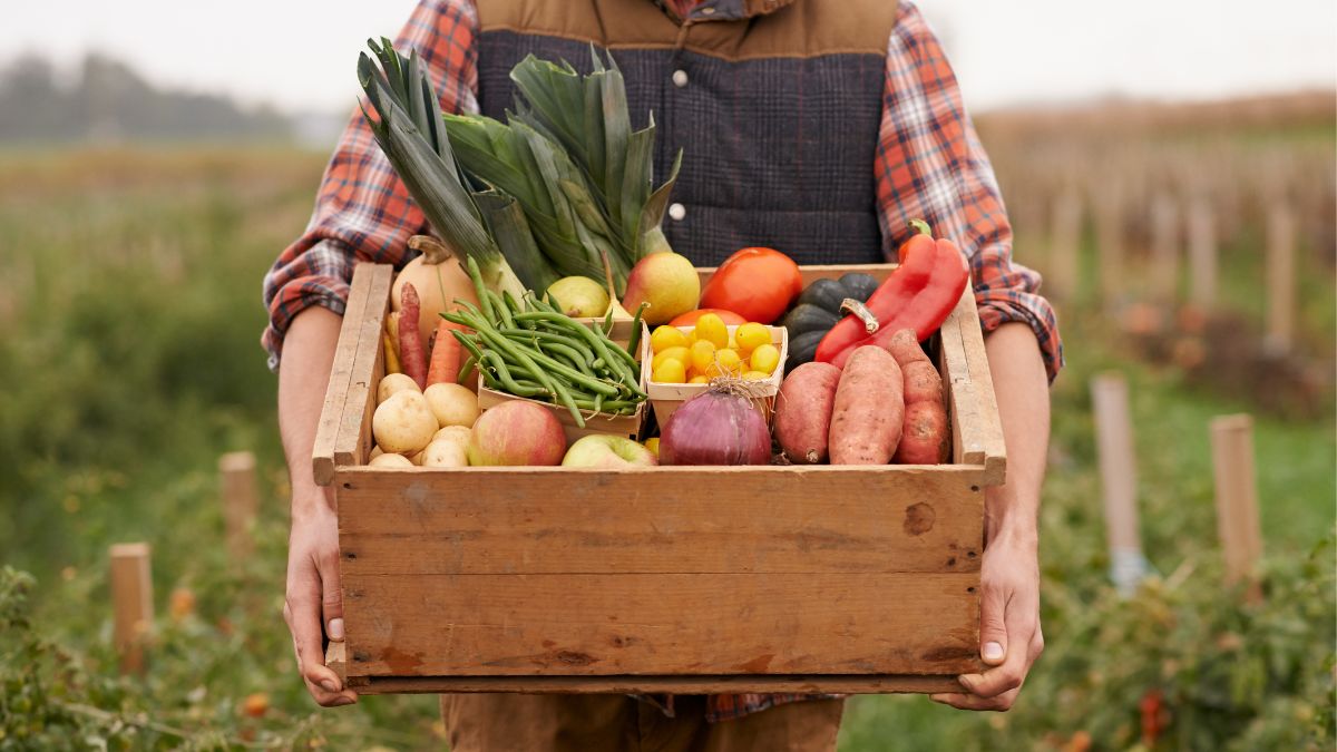 More & More Young Millennials Are Leaving Jobs & Taking Up Natural Farming. But Why?