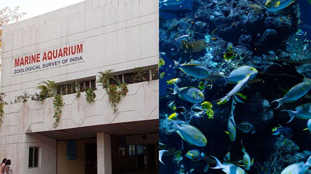 Marine Aquarium