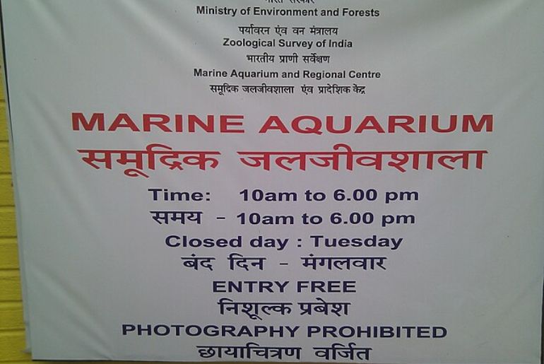 Marine Aquarium