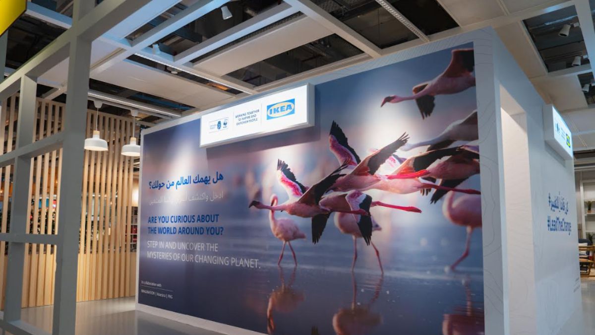 IKEA & Emirates Nature-WWF Host ‘A Day in the Life of Climate Change’ To Raise Awareness