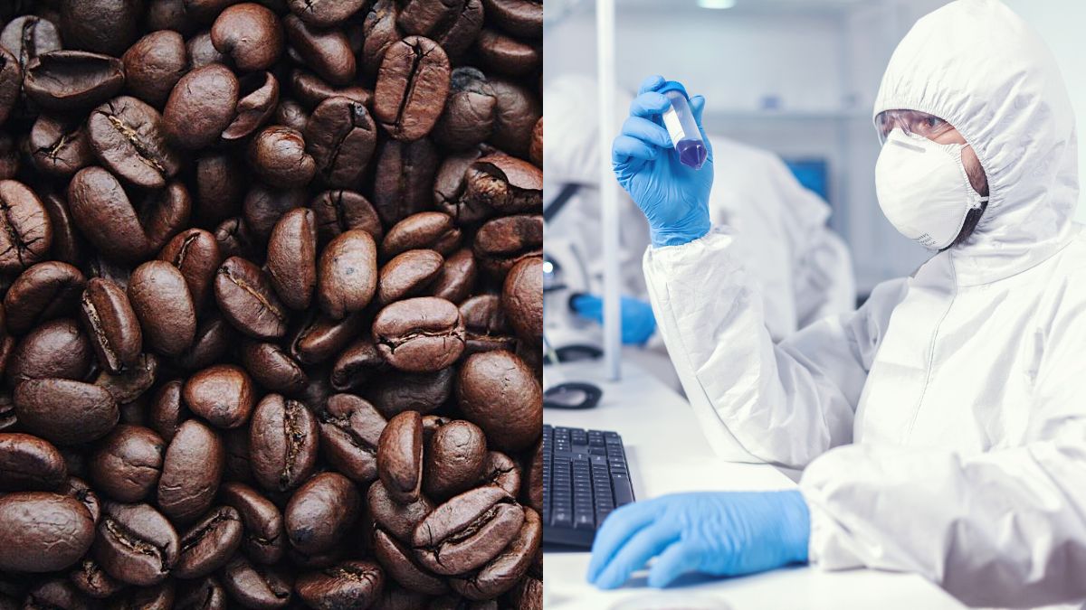 Coffee Addicts, Rejoice! Study Shows That Coffee Helps Your Body Defend Against SARS-CoV-2