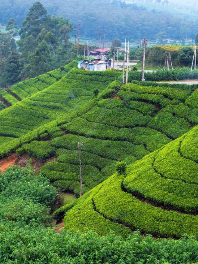 8 Countries That Are Now Not Known By Their Earlier Names