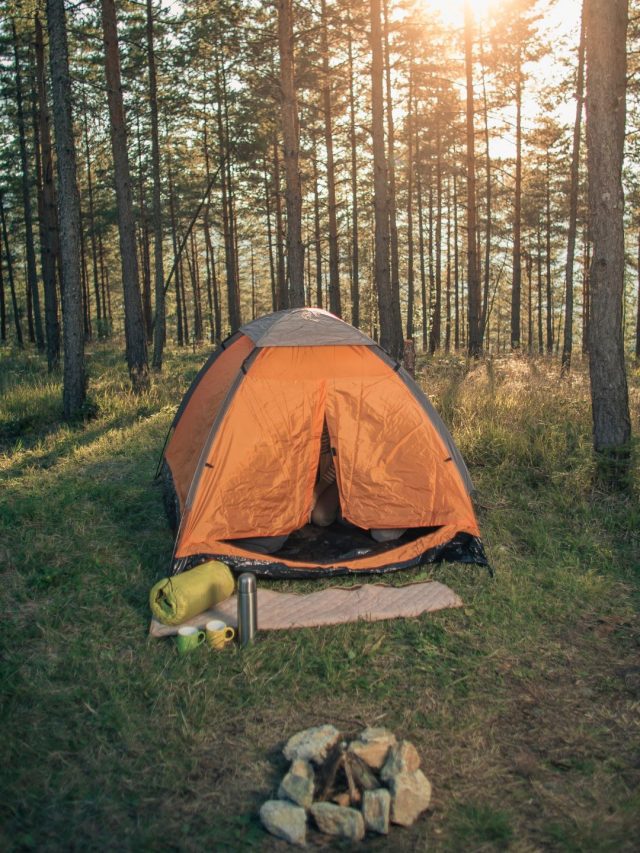 camping site 1