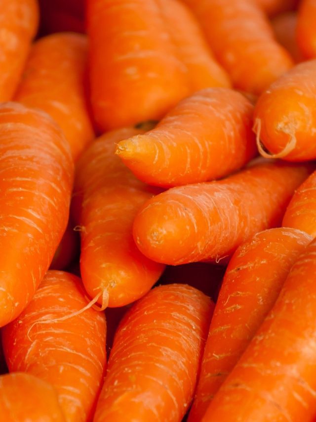carrot