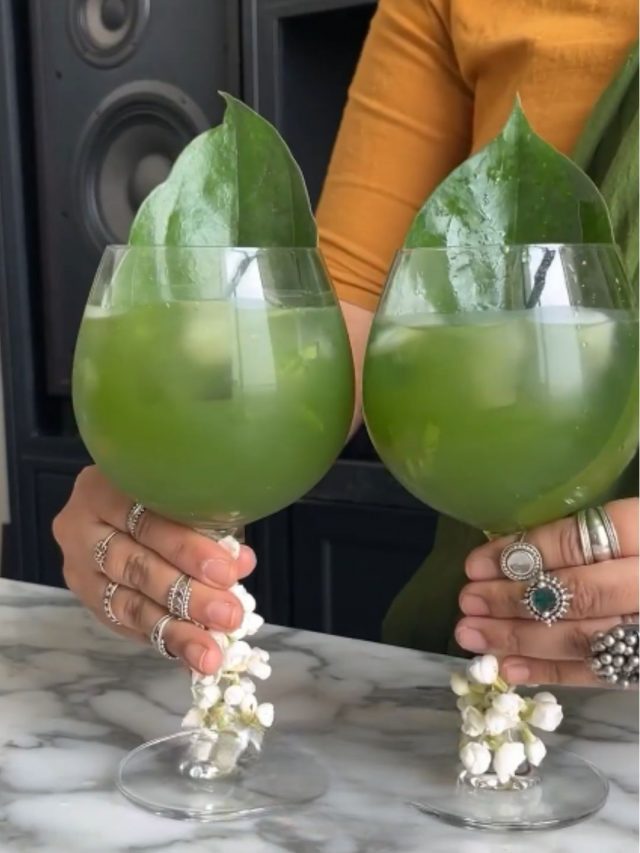 paan g&t 11