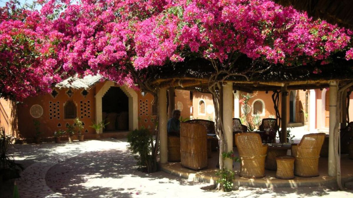 3 Hrs From Jaipur, Apani Dhani Eco-Lodge Gives A Peek Into Rajasthani Culture With Farm-To-Table Experiences