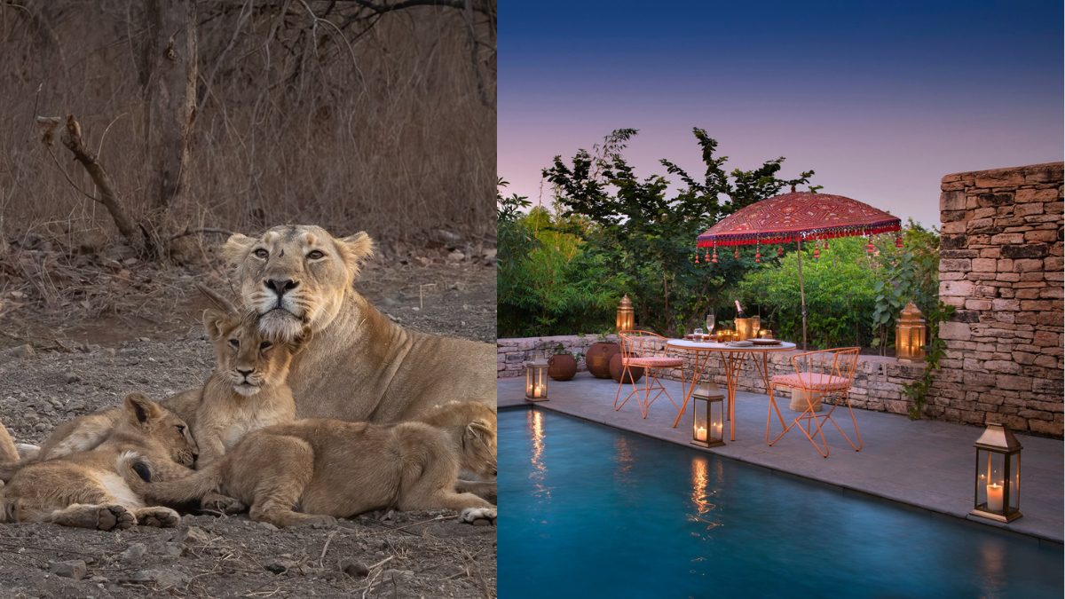Aramness Gir’s 18 Kothis, Boasting Private Plunge Pools & Forest Vistas, Redefine Wilderness Stay
