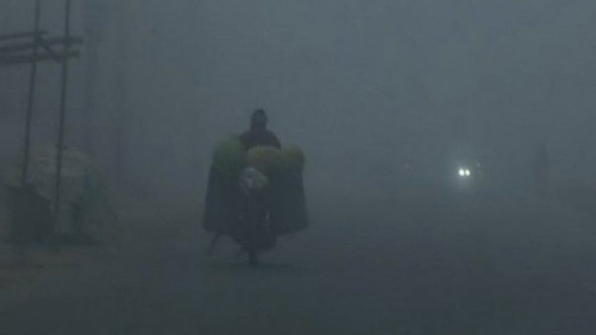 Delhi Sees Coldest Morning Of This Winter Season At 4.9°C; It Is Now Colder Than Shimla