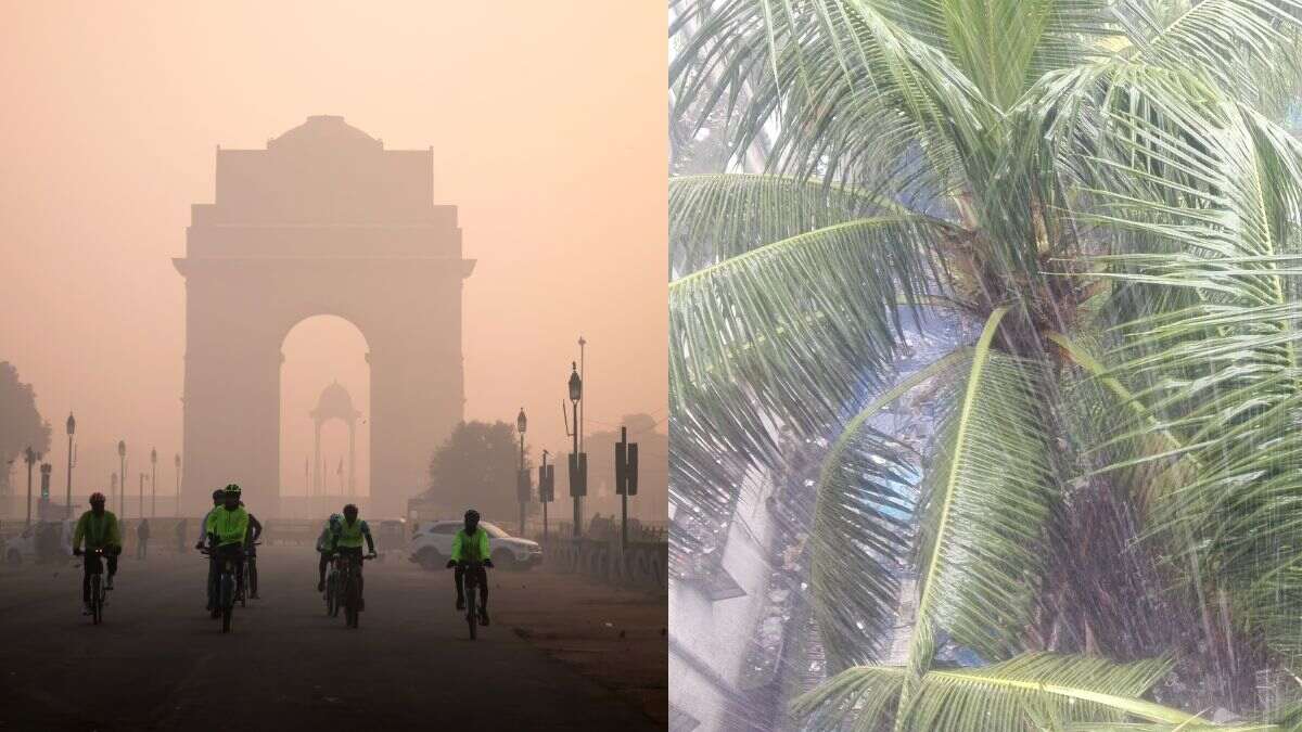 From Cold Increasing In North India To Heavy Rainfall In South, Here Are Latest Weather Updates