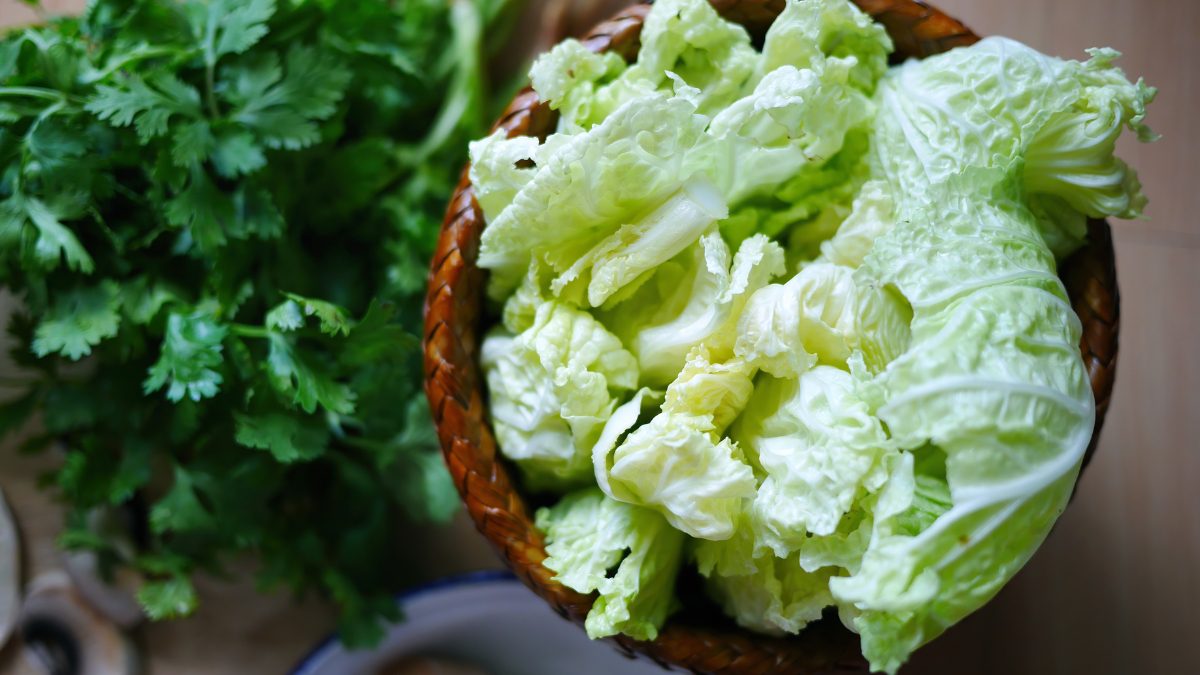 What Is Hakusai, The Napa Cabbage India Couldn’t Stop Googling? Recipes Inside!
