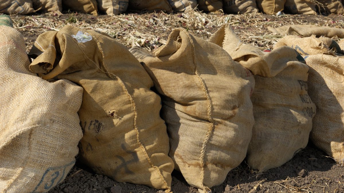 India Secures Farmers & Workers With Mandatory Jute Bags For Food Grains In 2023-24