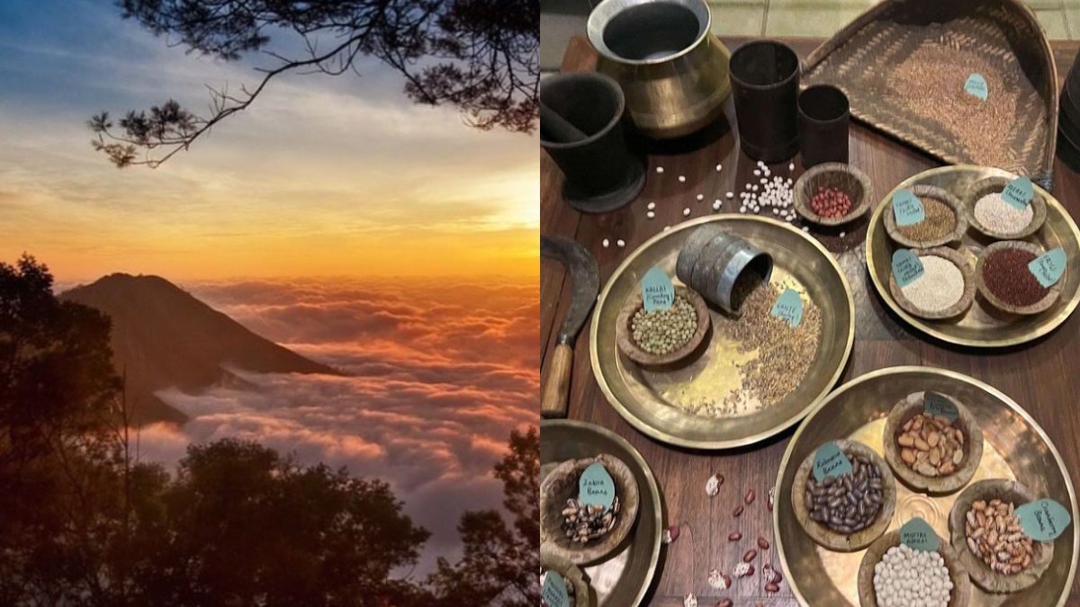 Nilgiris Earth Festival: The Mountains Are Calling You For This Unique Food Fest Like No Other
