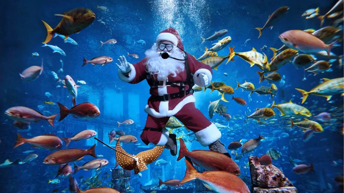 Santa Is Busy Scuba Diving HERE In Dubai Till December 25! When Are You Coming To Greet Him?